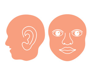 Head with organs, head pictograph. Vector Illustration