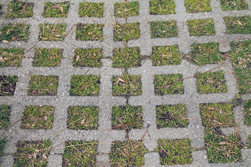 Sidewalk Pattern - Cement Squares and Grass