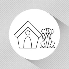 pet care concept design 