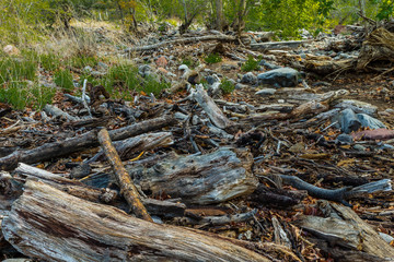 Marvel at the Natural Wonders of Sedona Arizona USA
