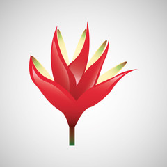 floral decoration design 