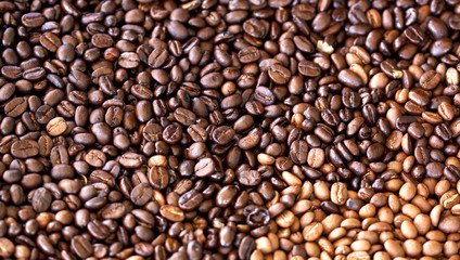 Obraz premium Roasted coffee beans