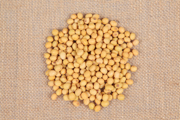 soybean