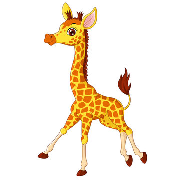Illustration of little giraffe calf running