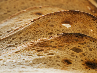 toasted slices of bread