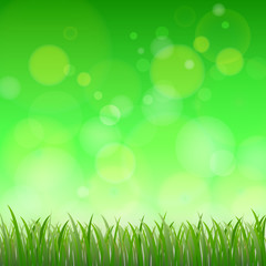 Fototapeta na wymiar Fresh spring green background with bokeh, Vector illustration