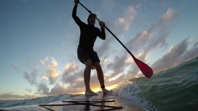Stand up paddle board surfing a wave at sunset