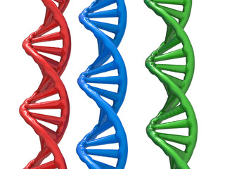 colorful dna structures