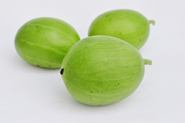 three young watermelon on a white background thai vegetable tangmo-on 7