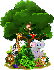 funny animals cartoon under green tree