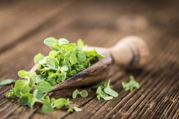Fresh Oregano on wooden background