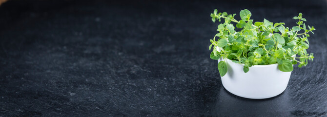 Slate Slab with Oregano