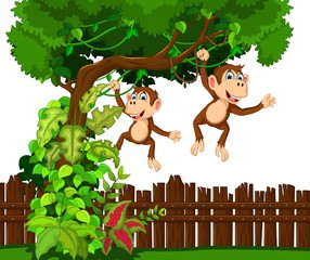 funny two monkey cartoon hinging in the branch