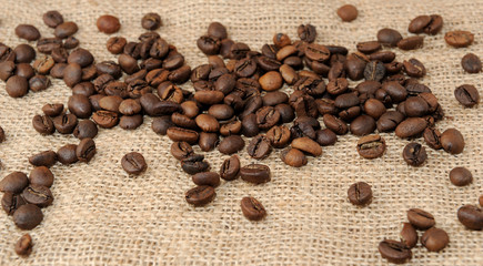 Coffee beans on a burlap.