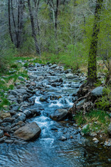 Marvel at the Natural Wonders of Sedona Arizona USA
