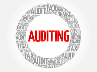 AUDITING word cloud, business concept