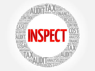 INSPECT word cloud, business concept