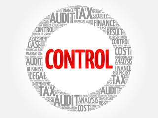 CONTROL word cloud, business concept