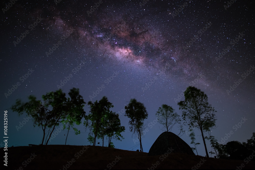 Wall mural milky way, night sky with trees and tent on land.