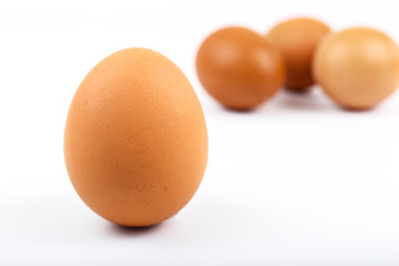 Brown egg on white background closeup