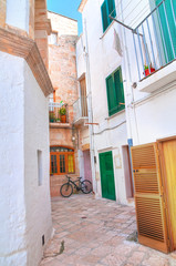 Fototapeta premium Alleyway. Polignano a mare. Puglia. Italy.