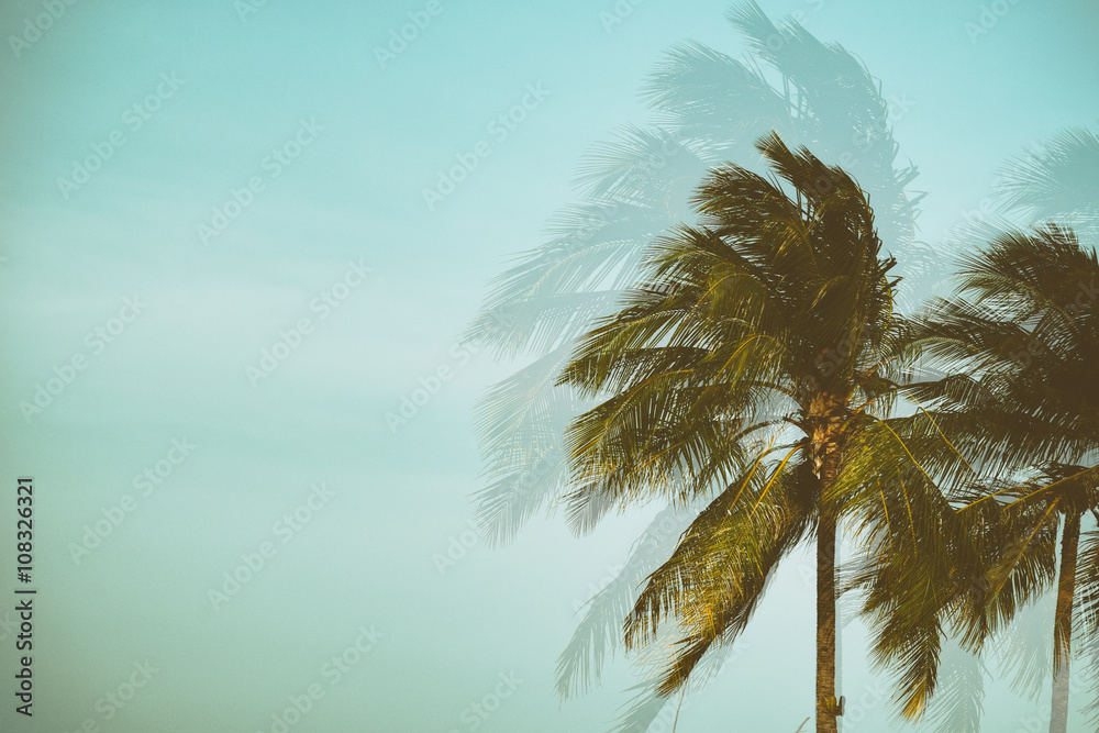 Wall mural silhouette palm tree with double exposure effect in vintage filter (background)