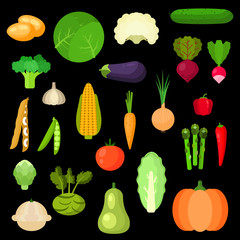 Selected healthful fresh vegetables flat icons