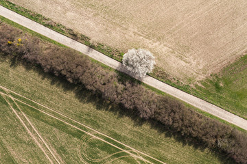 aerial view of  over the road and harvest fields
