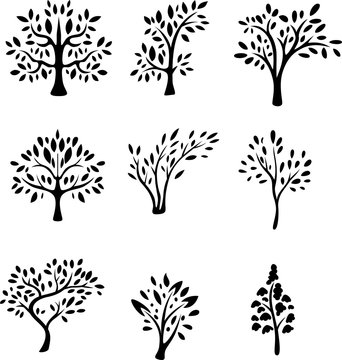 trees silhouette with forest landscape background
