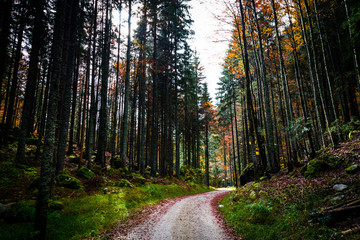 Obraz premium Autumn morning in the alps