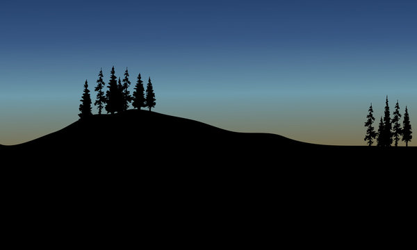 Vector spruce of silhouette