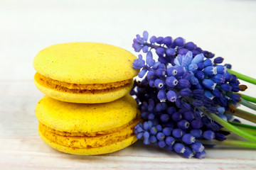 Muscari Blue flower with yellow macaroons on wooden table