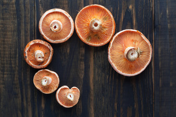 Fototapeta na wymiar Edible mushrooms - Saffron Milk Cap on rustic brown wooden table. Top view.