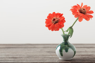 zinnia flower in a vase © Maya Kruchancova