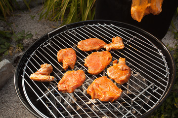 Spicy chicken wings on  BBQ