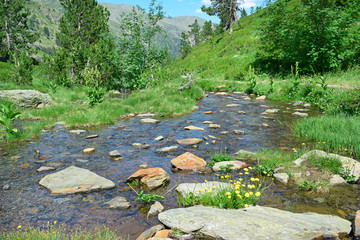 Scenic stream in the mountains
