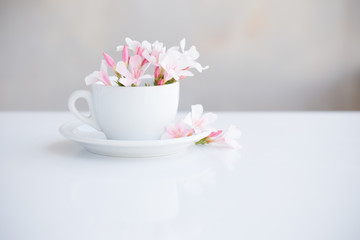 still life with flowers in white cup