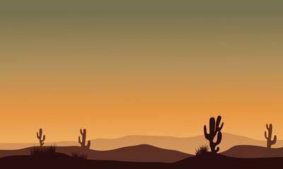 Cactus in desert silhouette