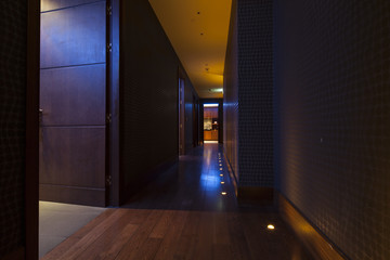 beautiful hall with wooden flooring