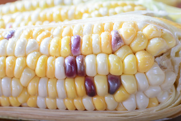 Fresh organic corn