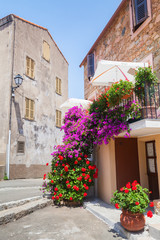 Decorative flowers. Narrow street, Corsica