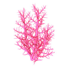 3D Illustration Pink Coral on White