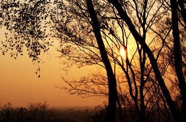 Beautiful sunset and wild landscape