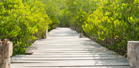 wooden pathway in mangrove forest "Thung Prong Thong", Rayong, Thailand