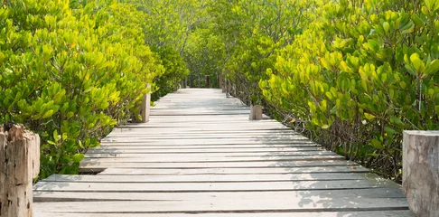 Printed roller blinds Road in forest wooden pathway in mangrove forest "Thung Prong Thong", Rayong, Thailand