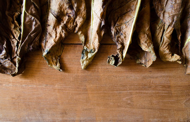 Tobacco leaves on wooden