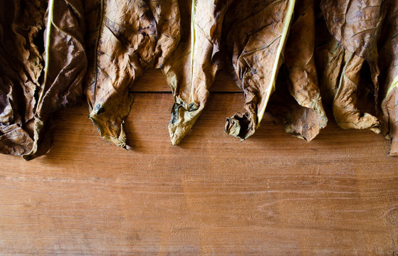 Tobacco Leaves On Wooden