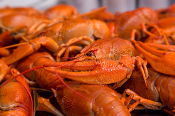 closeup boiled craw fish for background uses