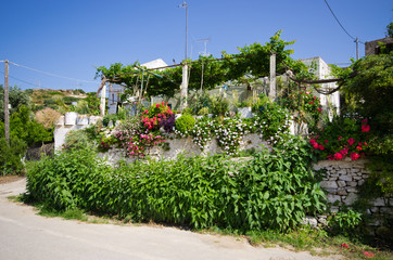 House covered by plants and flowers, Greece