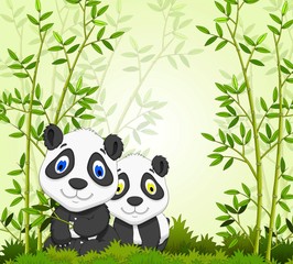 two panda cartoon with forest landscape background